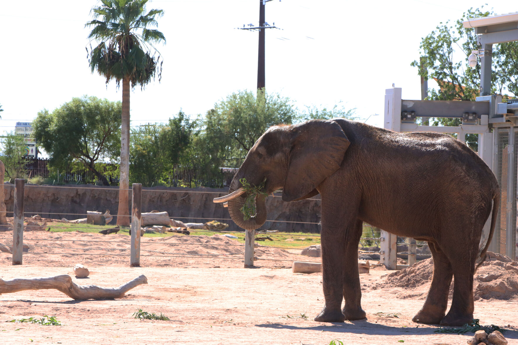 Tsavo